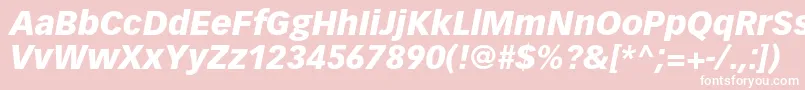 VectoraltstdBlackitalic Font – White Fonts on Pink Background