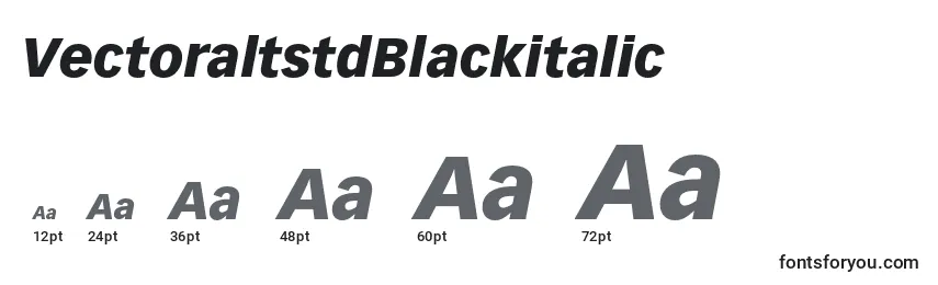 Размеры шрифта VectoraltstdBlackitalic