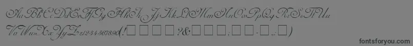 フォントCarmelScriptSsi – 黒い文字の灰色の背景