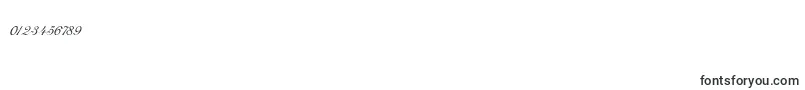 CarmelScriptSsi Font – Fonts for Numbers and Digits