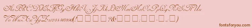 CarmelScriptSsi Font – Brown Fonts on Pink Background