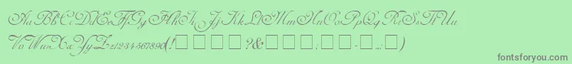 Police CarmelScriptSsi – polices grises sur fond vert