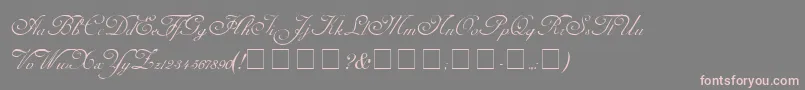 CarmelScriptSsi-Schriftart – Rosa Schriften auf grauem Hintergrund