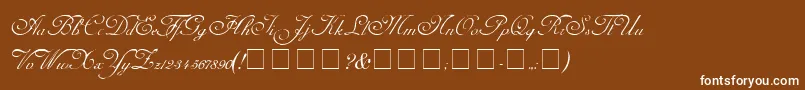 CarmelScriptSsi Font – White Fonts on Brown Background