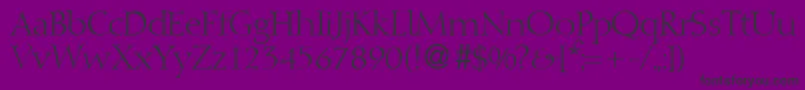 DibbydbNormal Font – Black Fonts on Purple Background