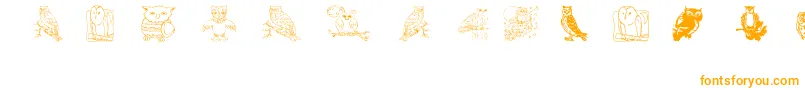 Aezowlsfortraci Font – Orange Fonts on White Background
