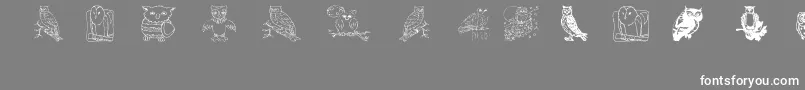 Aezowlsfortraci Font – White Fonts on Gray Background
