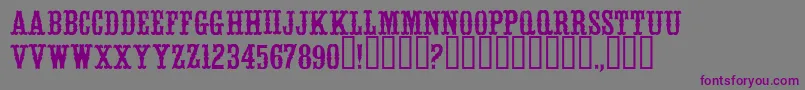 WhitevinegarRegular Font – Purple Fonts on Gray Background