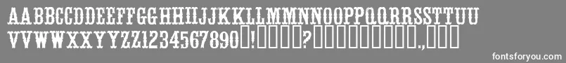 フォントWhitevinegarRegular – 灰色の背景に白い文字
