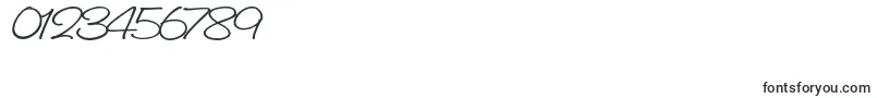 SaginawBold Font – Fonts for Numbers and Digits