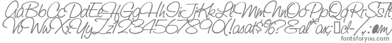 Шрифт SaginawBold – серые шрифты на белом фоне