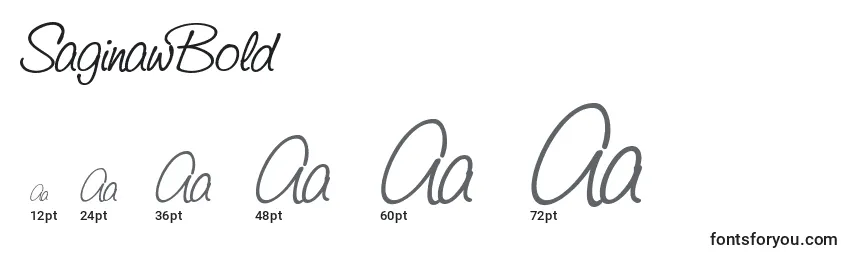 SaginawBold Font Sizes