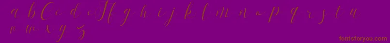 FirstChoiceDemo-Schriftart – Braune Schriften auf violettem Hintergrund