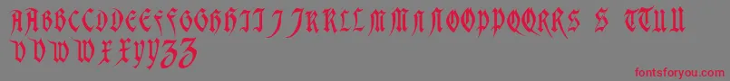 フォントMagdelenaRegular – 赤い文字の灰色の背景