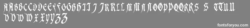 フォントMagdelenaRegular – 灰色の背景に白い文字