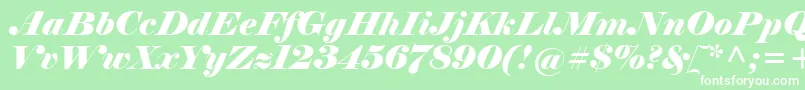 ElephantРљСѓСЂСЃРёРІ Font – White Fonts on Green Background