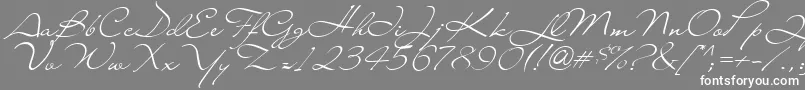 Liana Font – White Fonts on Gray Background