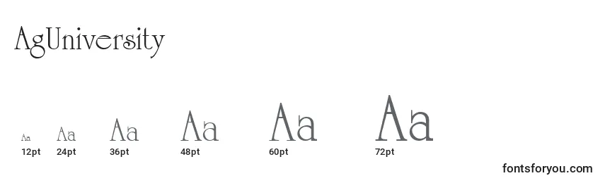 Размеры шрифта AgUniversity