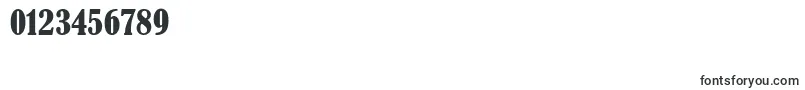 RutbergOldstyle Font – Fonts for Numbers and Digits