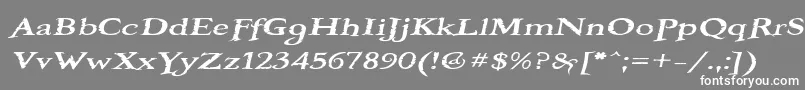 フォントBooterOneFive – 灰色の背景に白い文字