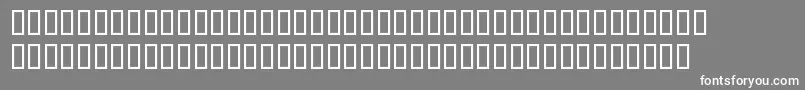 BlocRegular Font – White Fonts on Gray Background