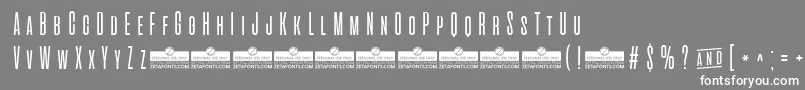 AlienscowsLightTrial Font – White Fonts on Gray Background