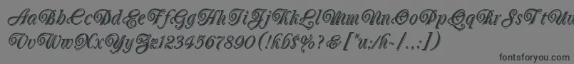 Шрифт OberonLetPlain.1.0 – чёрные шрифты на сером фоне