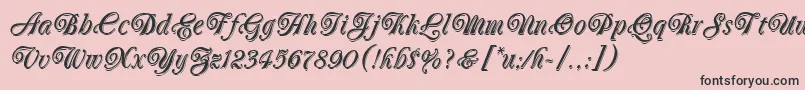 OberonLetPlain.1.0 Font – Black Fonts on Pink Background