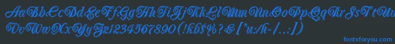 OberonLetPlain.1.0 Font – Blue Fonts on Black Background