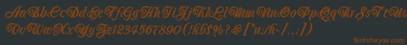 OberonLetPlain.1.0 Font – Brown Fonts on Black Background