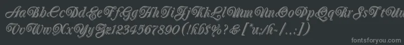 OberonLetPlain.1.0 Font – Gray Fonts on Black Background