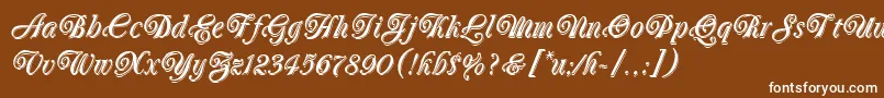 OberonLetPlain.1.0 Font – White Fonts on Brown Background