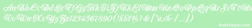 OberonLetPlain.1.0 Font – White Fonts on Green Background