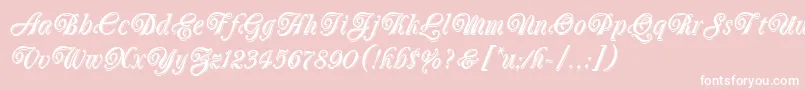 OberonLetPlain.1.0 Font – White Fonts on Pink Background