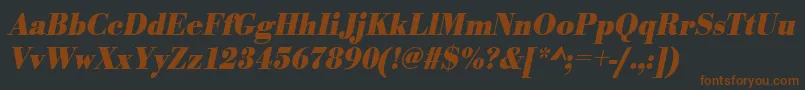 UrwbodonitextnarBoldOblique Font – Brown Fonts on Black Background