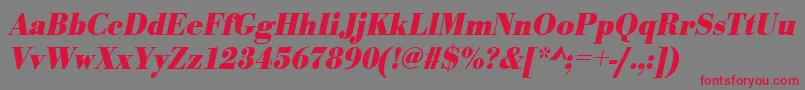 UrwbodonitextnarBoldOblique Font – Red Fonts on Gray Background