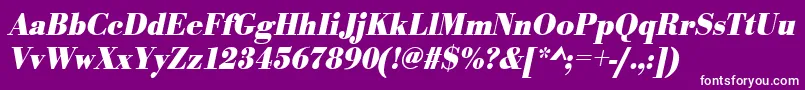 UrwbodonitextnarBoldOblique Font – White Fonts on Purple Background