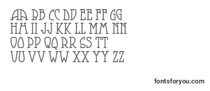 Review of the Smorgasbordnf Font