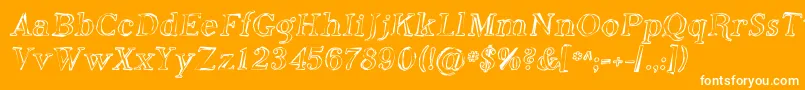 Phoso Font – White Fonts on Orange Background