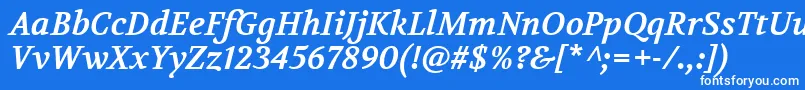 VolkhovBolditalic Font – White Fonts on Blue Background