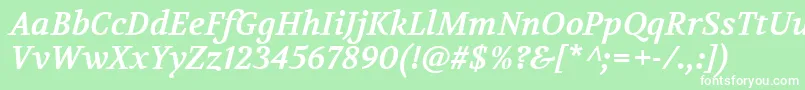 VolkhovBolditalic Font – White Fonts on Green Background