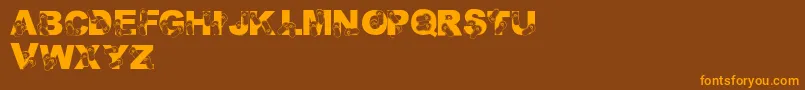 LmsRhondasFlipFlops Font – Orange Fonts on Brown Background