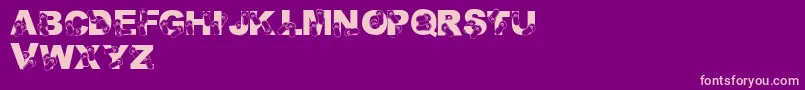 LmsRhondasFlipFlops Font – Pink Fonts on Purple Background