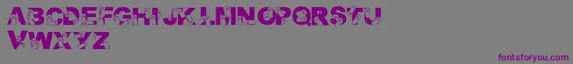 LmsRhondasFlipFlops Font – Purple Fonts on Gray Background