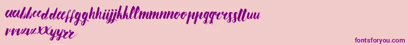 AnanasLips Font – Purple Fonts on Pink Background