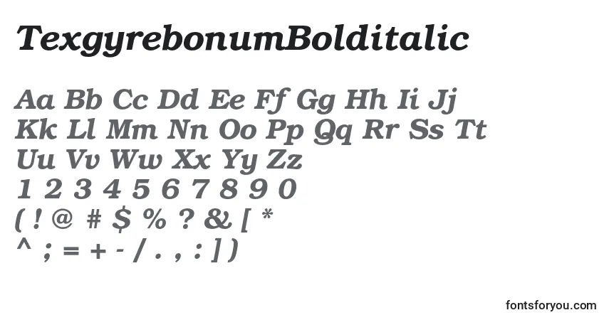 Schriftart TexgyrebonumBolditalic – Alphabet, Zahlen, spezielle Symbole
