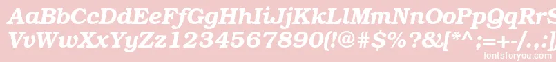 TexgyrebonumBolditalic Font – White Fonts on Pink Background