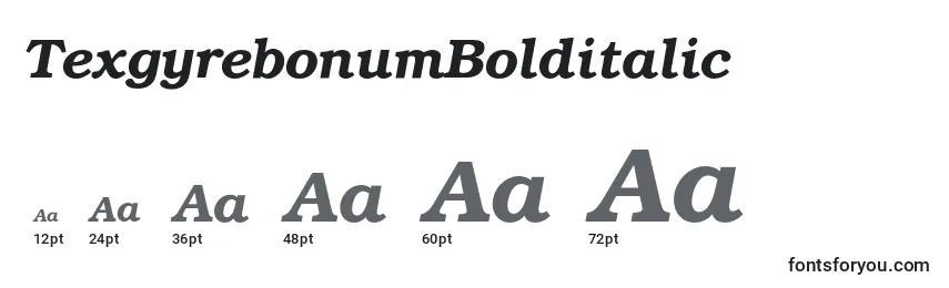TexgyrebonumBolditalic Font Sizes