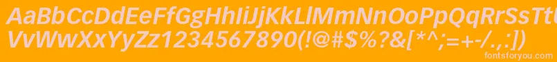VectoraltstdBolditalic Font – Pink Fonts on Orange Background