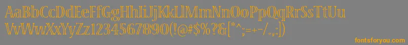 VivastdLightcondensed Font – Orange Fonts on Gray Background